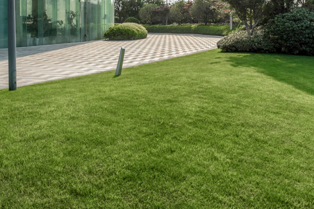 Commercial Lawncare Services