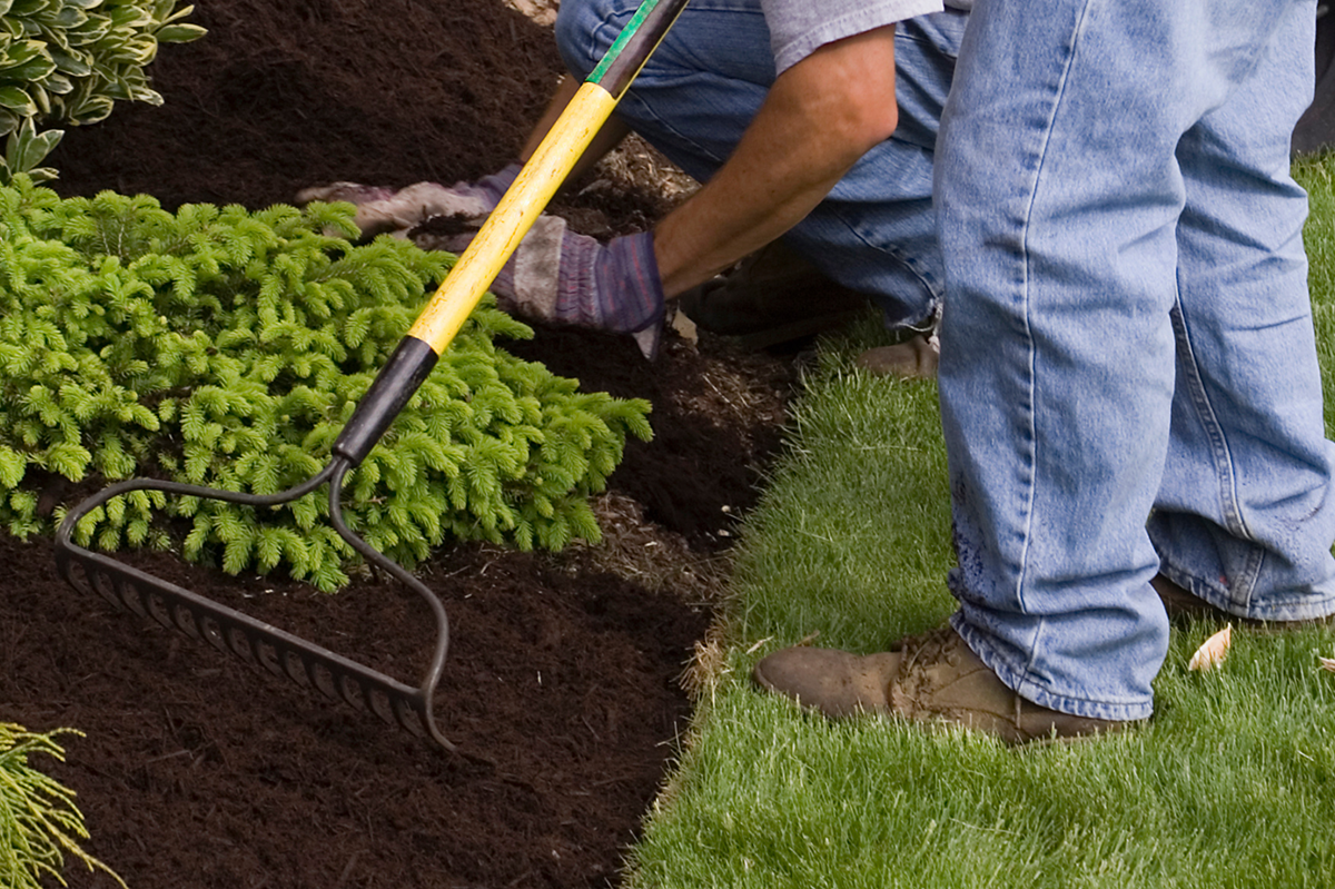 Mulching & Bed Care